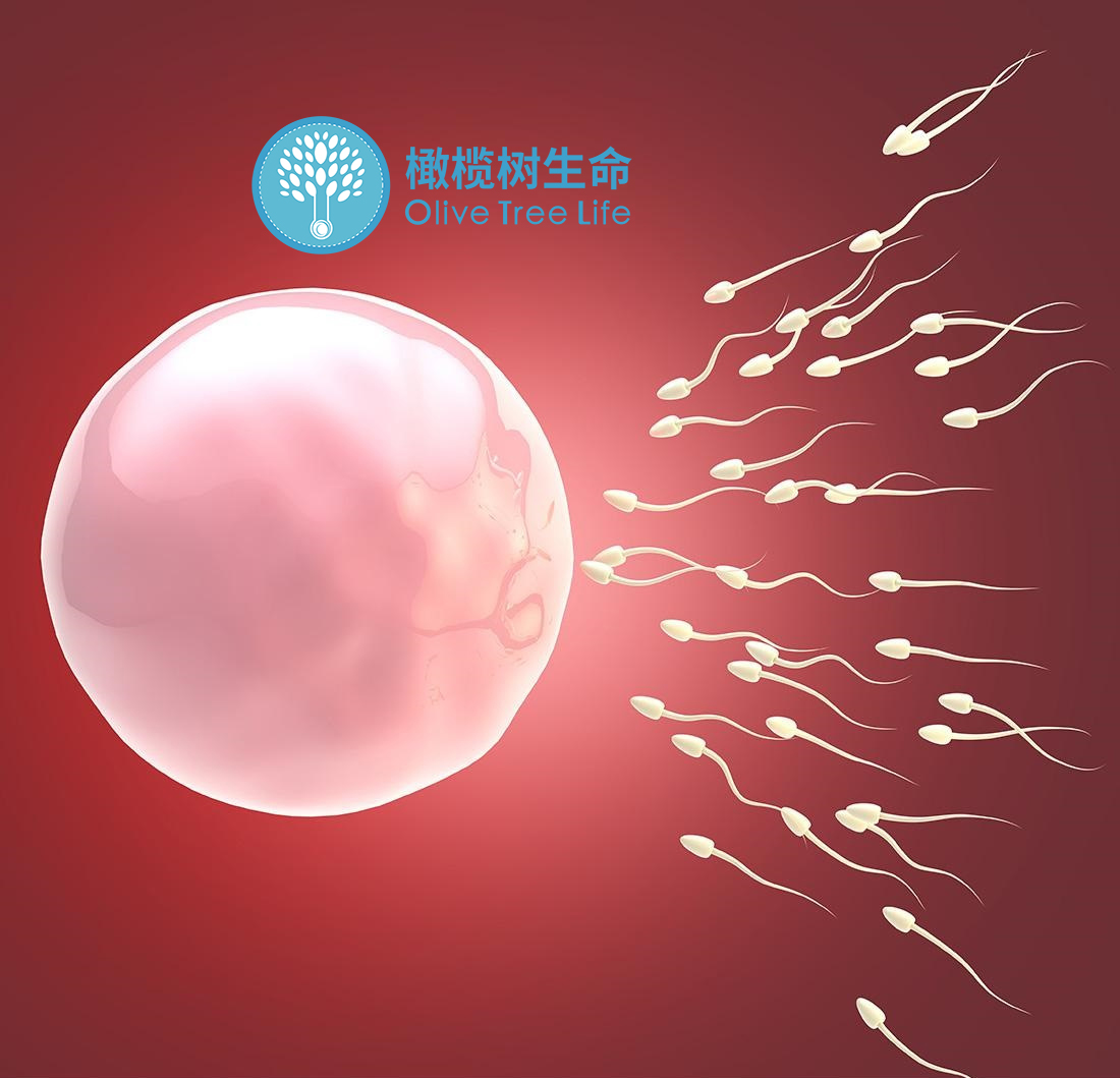 运筹帷幄，试管婴儿前你需要做这些准备