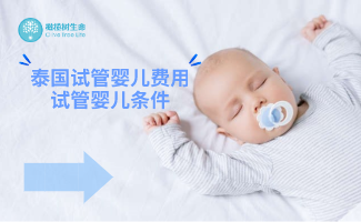 泰国试管婴儿费用及做试管婴儿条件