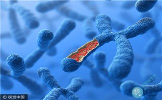 泰国试管婴儿技术:科学避免胚胎染色体三体 泰国试管婴儿技术:科学避免胚胎染色体三体