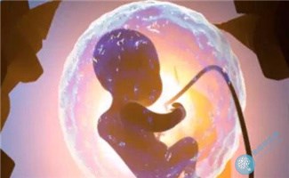 试管婴儿如何培养挑选A级胚胎? 试管婴儿如何培养挑选A级胚胎?