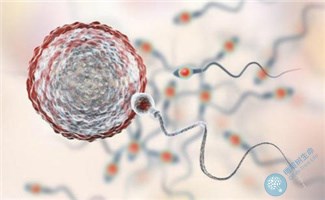 精子DNA碎片率高不孕,可通过第三代试管技术成就爸业 精子DNA碎片率高不孕,可通过第三代试管技术成就爸业