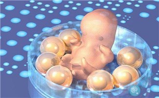 试管婴儿前检查:卵泡少的情况下,成功率也就越低吗? 试管婴儿前检查:卵泡少的情况下,成功率也就越低吗?