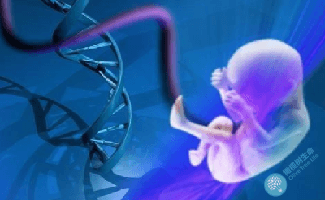 做第三代试管婴儿，宝宝染色体异常概率是多少？