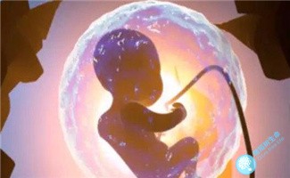 试管婴儿针对“胎停”问题的技术操作是什么？
