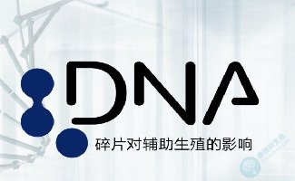 精子核DNA碎片率（DFI）与生育生育的关系