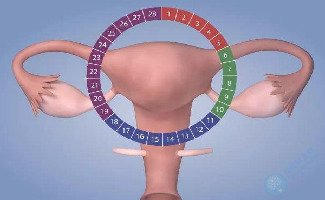 女性子宫内膜薄，做试管怎样提高妊娠率？