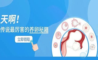 卵泡不良「拯救」计划，教你90天养出又大又圆卵泡！！