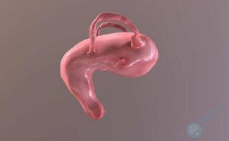 子宫后位的女性做试管婴儿，会不会影响移植成功率？