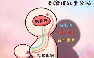 泌乳素过高由哪些因素引起的?做试管可行吗? 泌乳素过高由哪些因素引起的?做试管可行吗?