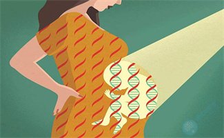高龄胚染异常易胎停？！5年研究打破僵局，2招风险直降！