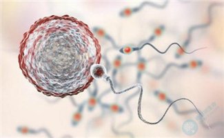 精子“奇妙之旅”：自然受孕、人工授精与试管婴儿的区别！