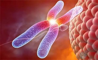 ESHRE 2026 速递| 全球辅助生殖革新，5大新趋势影响试管备孕人群