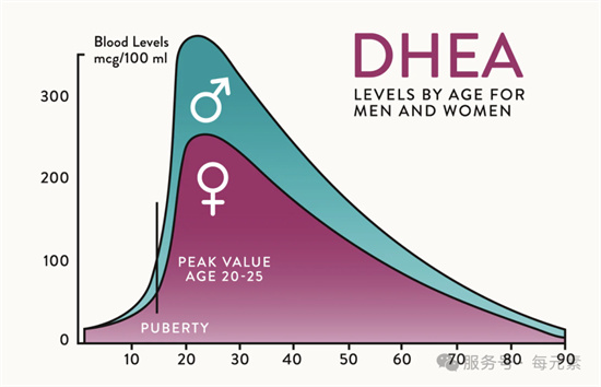 试管备孕姐妹注意！DHEA吃错会影响卵泡发育