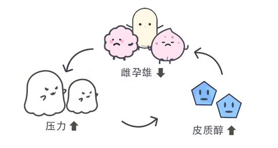 不是卵泡不行！一个被普遍忽视的因素，正在拉开你与好孕的距离