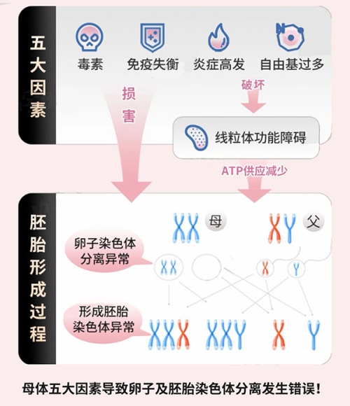 减少近48%卵子染色体异常风险!ESHRE重磅发现,为高龄备孕迎来新方向 减少近48%卵子染色体异常风险!ESHRE重磅发现,为高龄备孕迎来新方向