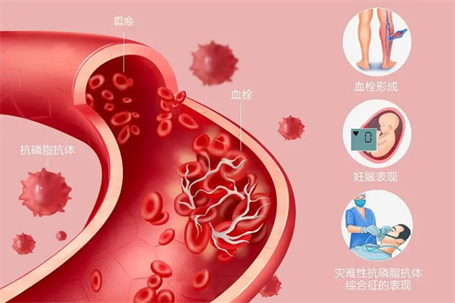 胚胎发育潜能怎么看？ 真相就藏在取卵前这关键3个月