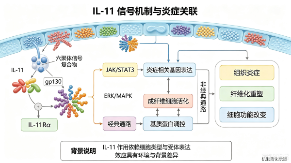 大龄备孕屡屡碰壁?可能是漏掉了这个关键因素! 大龄备孕屡屡碰壁?可能是漏掉了这个关键因素!