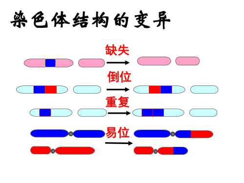 双方染色体正常，胚胎染色体异常是什么原因？